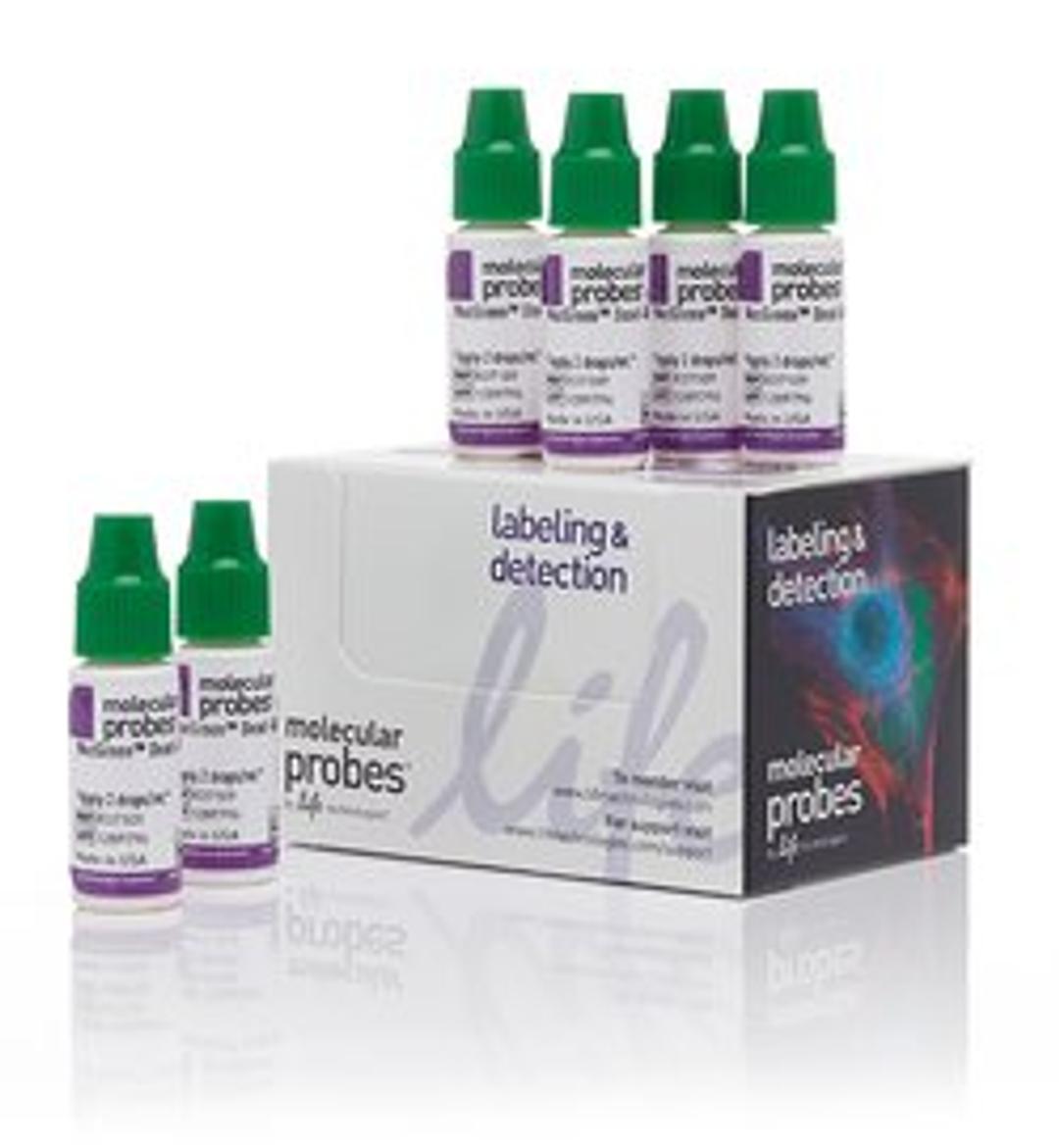 Invitrogen™ NucGreen™ Dead 488 ReadyProbes™ Reagent - Thermo Fisher Scientific - Life Sciences