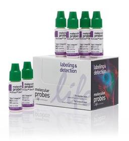 Invitrogen™ NucGreen™ Dead 488 ReadyProbes™ Reagent - Thermo Fisher Scientific - Life Sciences