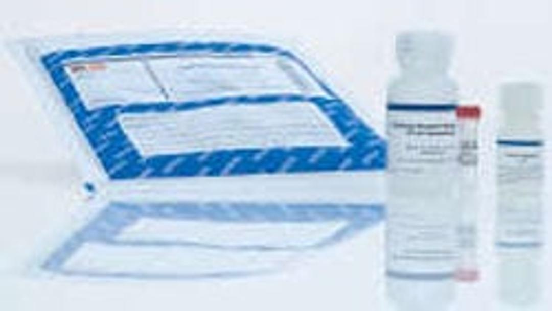 Penta·His HRP Conjugate Kit - QIAGEN