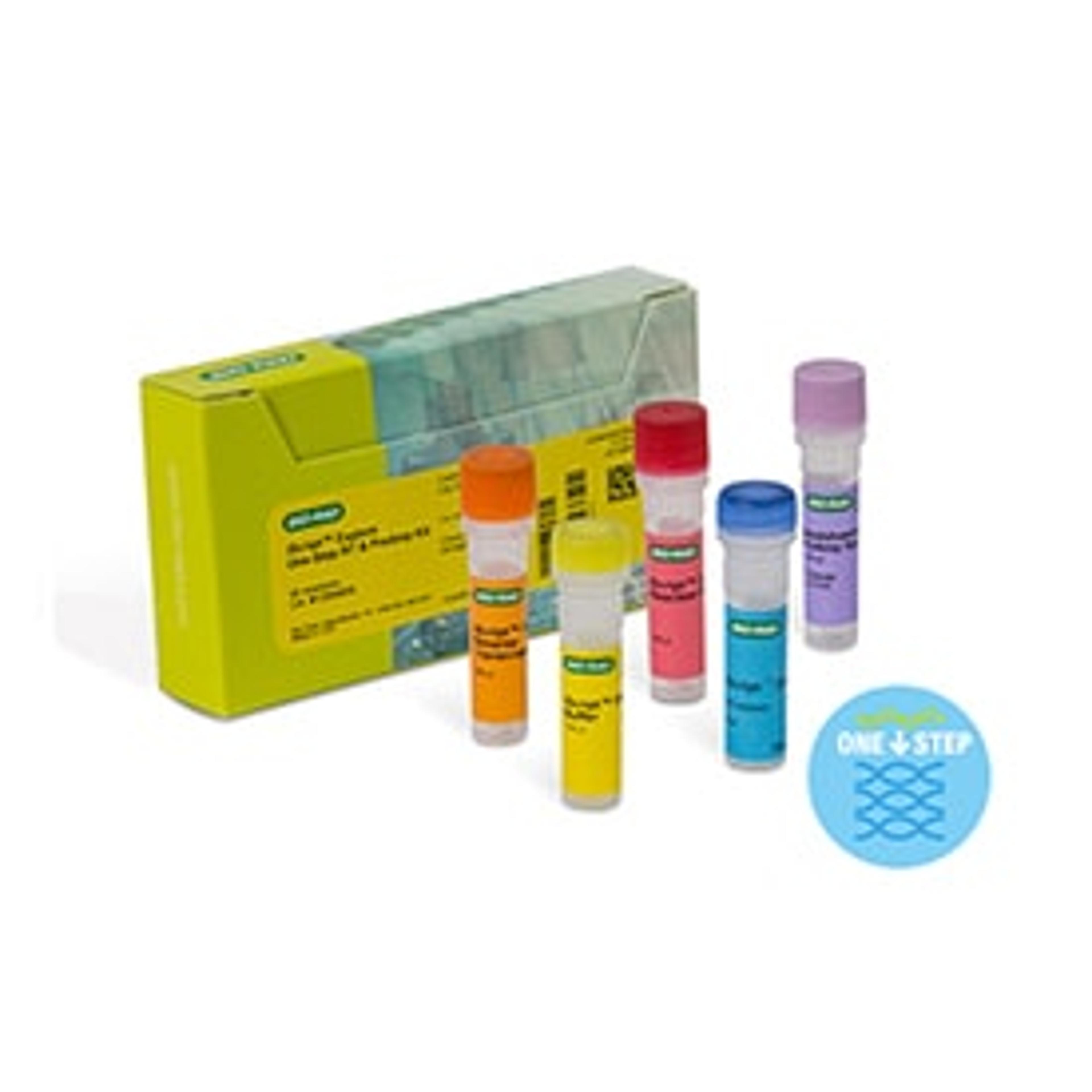 iScript™ Explore One-Step RT and PreAmp Kit, 250 x 50 µl rxns - Bio-Rad - Life Sciences