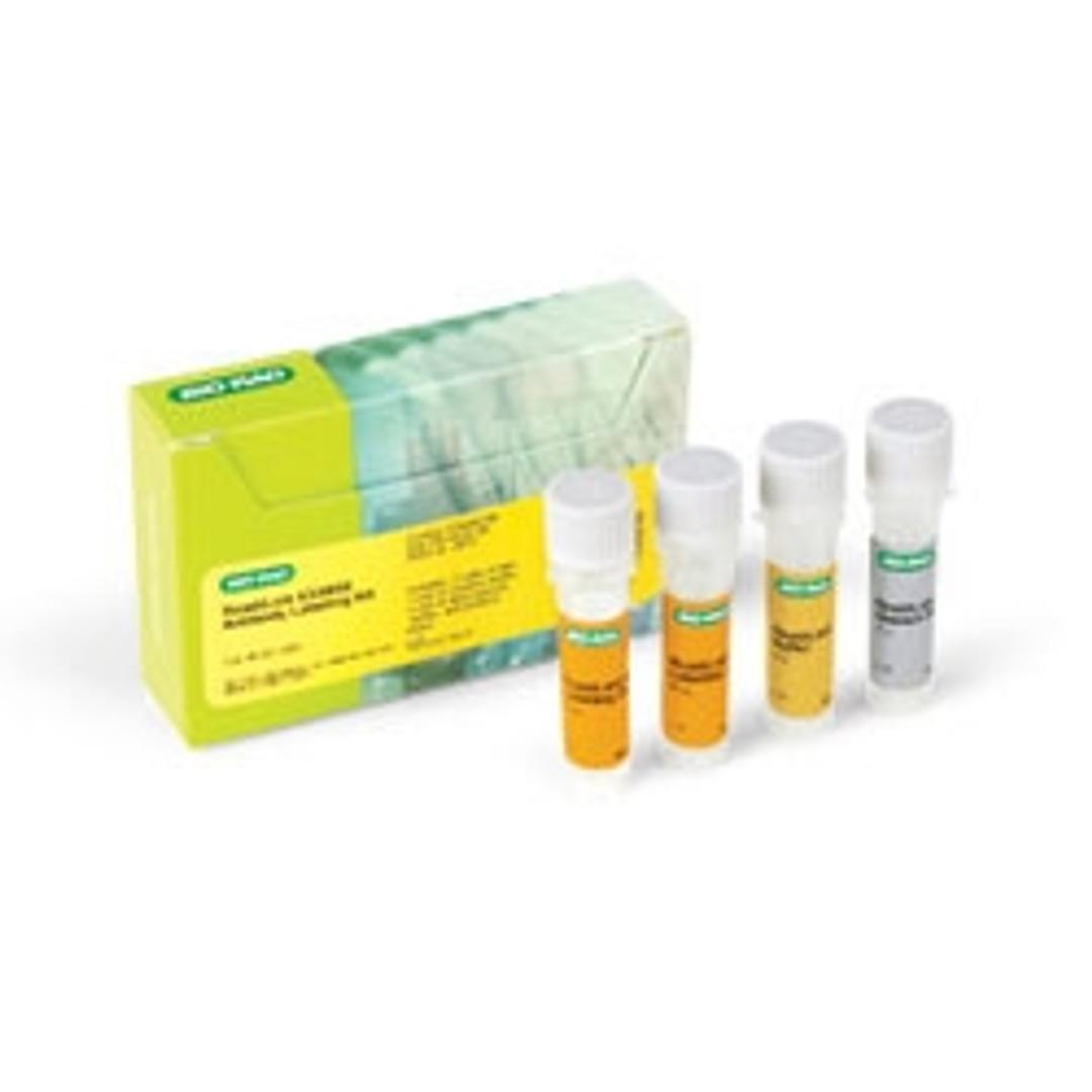 ReadiLink 633/655 Antibody Labeling Kit - Bio-Rad - Life Sciences