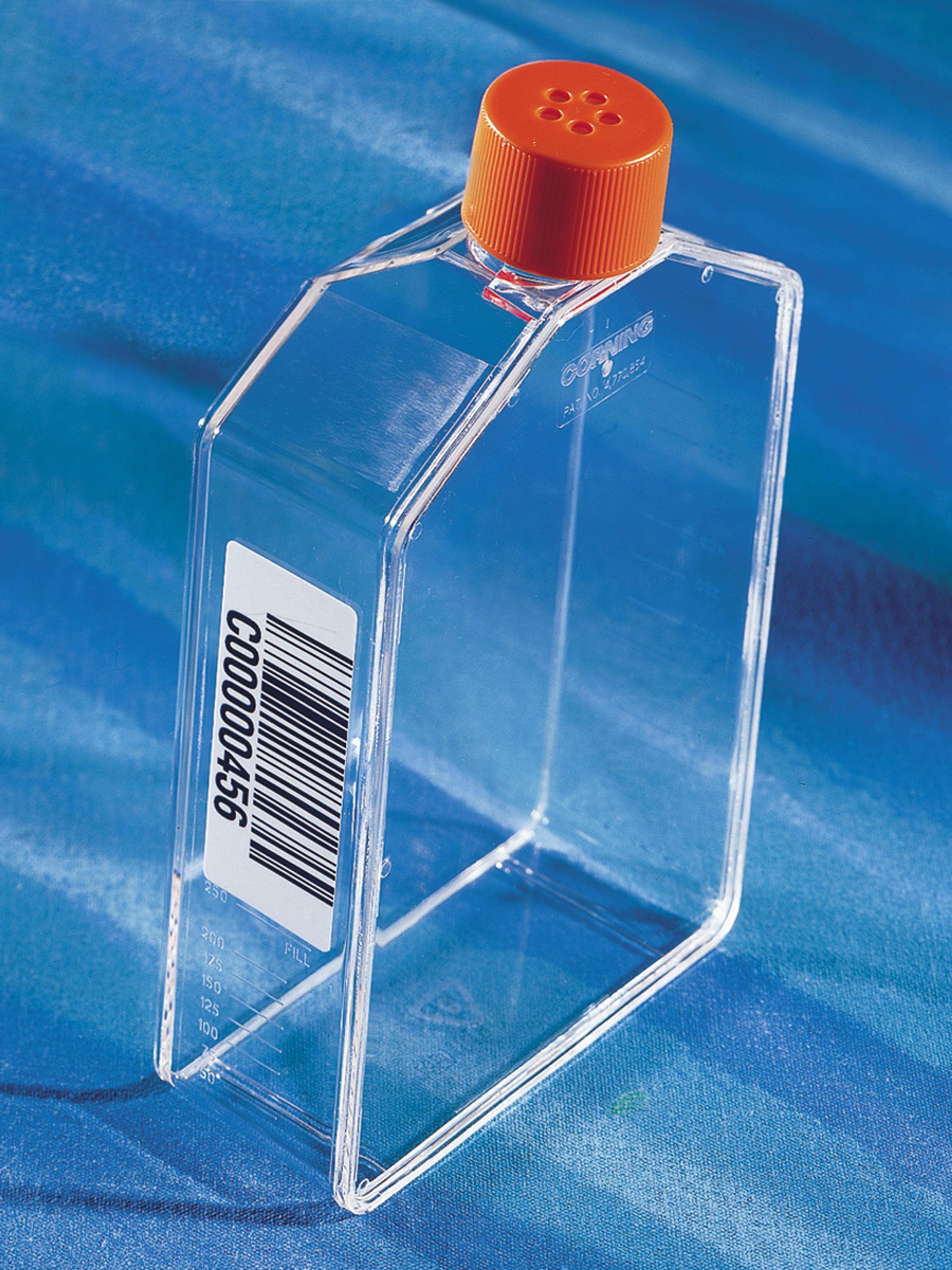 Corning® CellBIND® 175cm² Angled Neck Cell Culture Flask with Vent Cap and Bar Code - Corning Life Sciences - Life Sciences