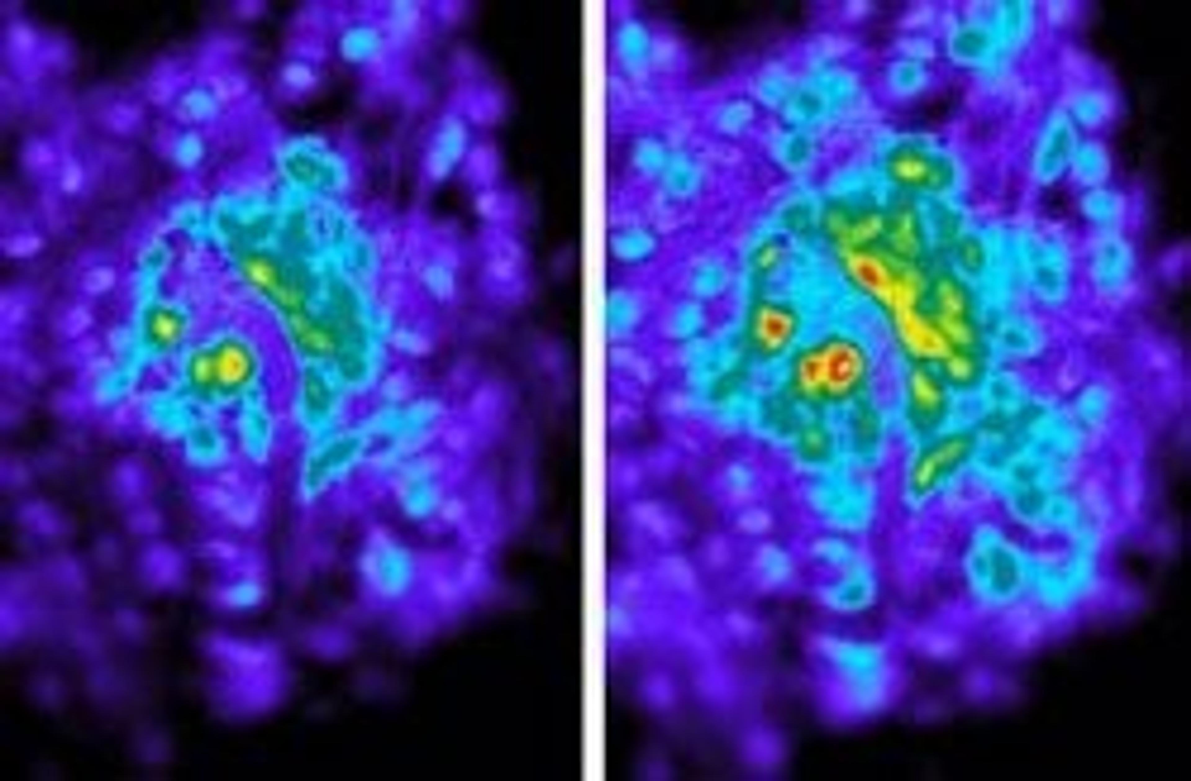 Asante NaTRIUM Green™ - TEFLabs - General Lab