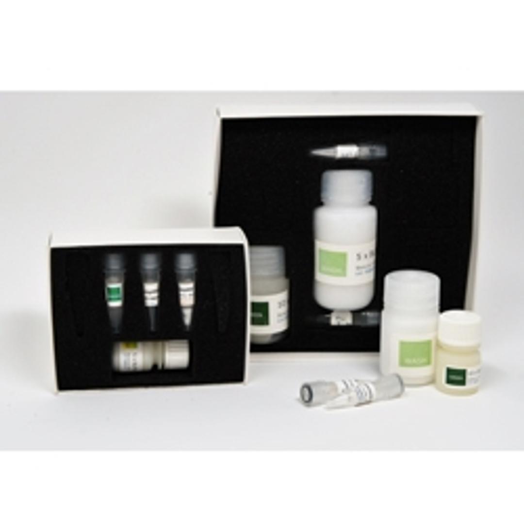 prepGEM Bacteria - MicroGEM - Life Sciences