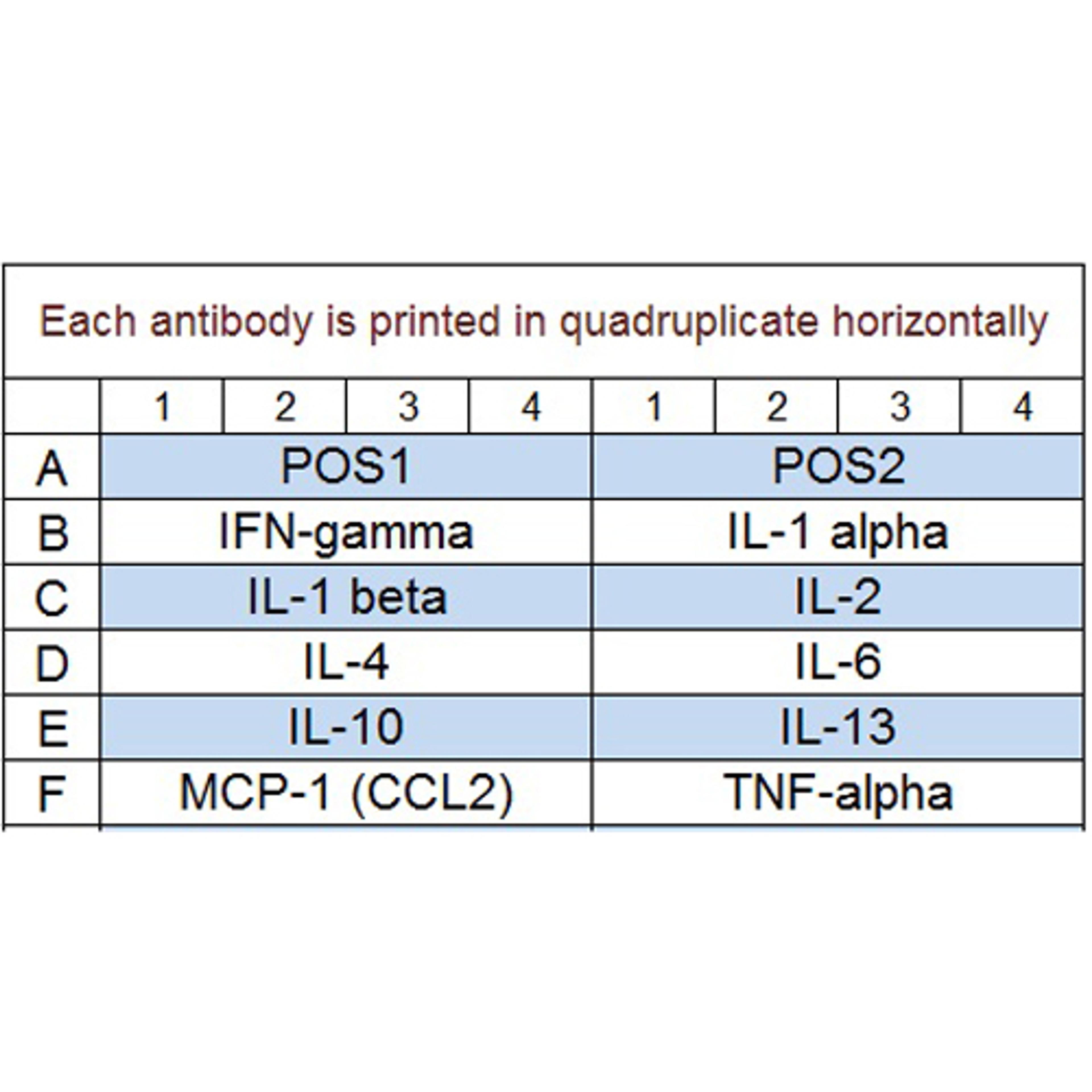 Rat Inflammation Array Q1 - RayBiotech Inc. - Life Sciences