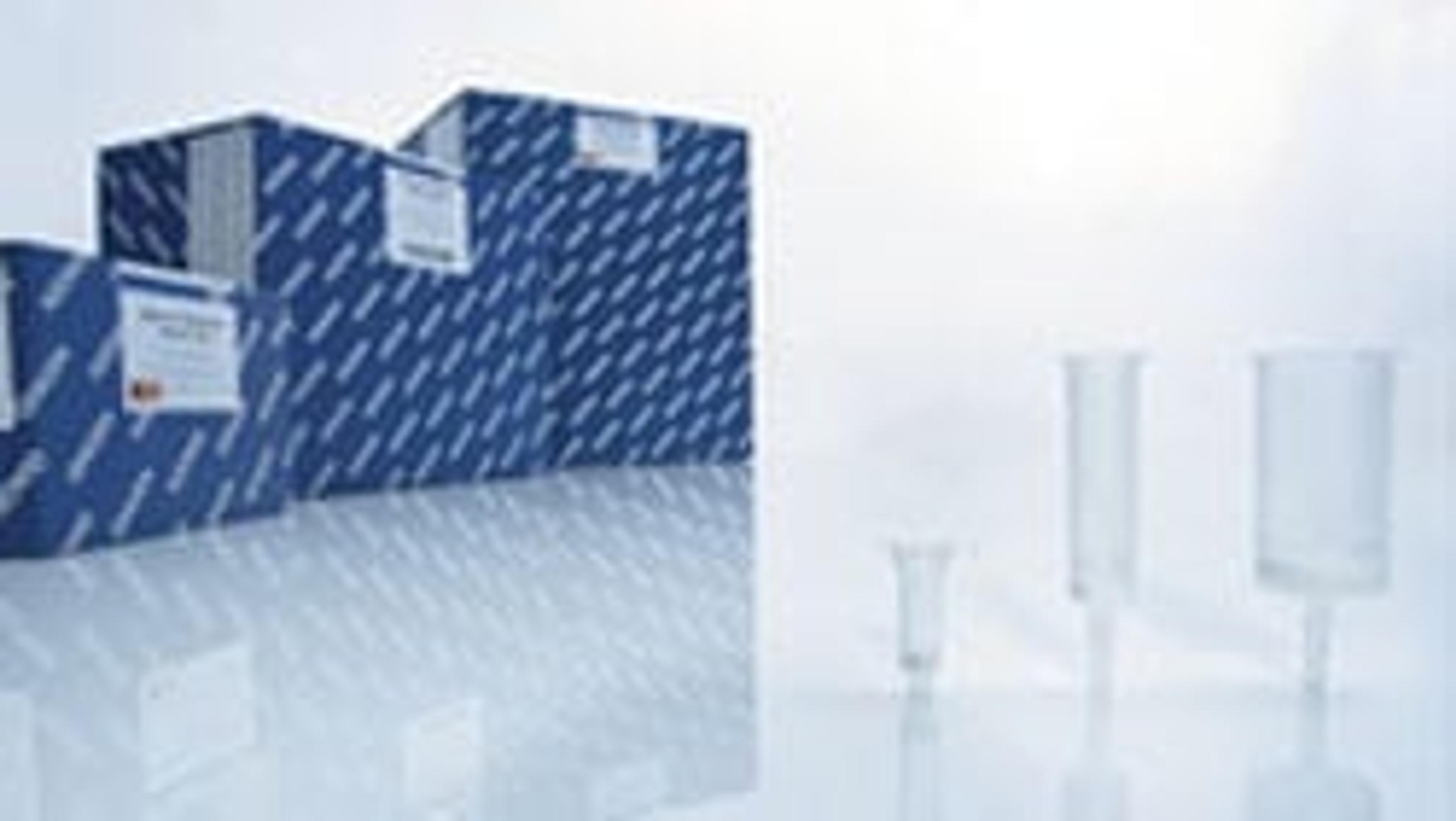 QIAamp DNA Blood Mini Kit (50) - QIAGEN