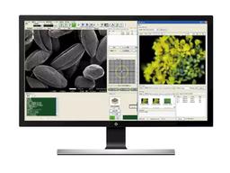 miXcroscopy™ Linked Optical & Scanning Electron Microscopy System - JEOL USA - Spectroscopy