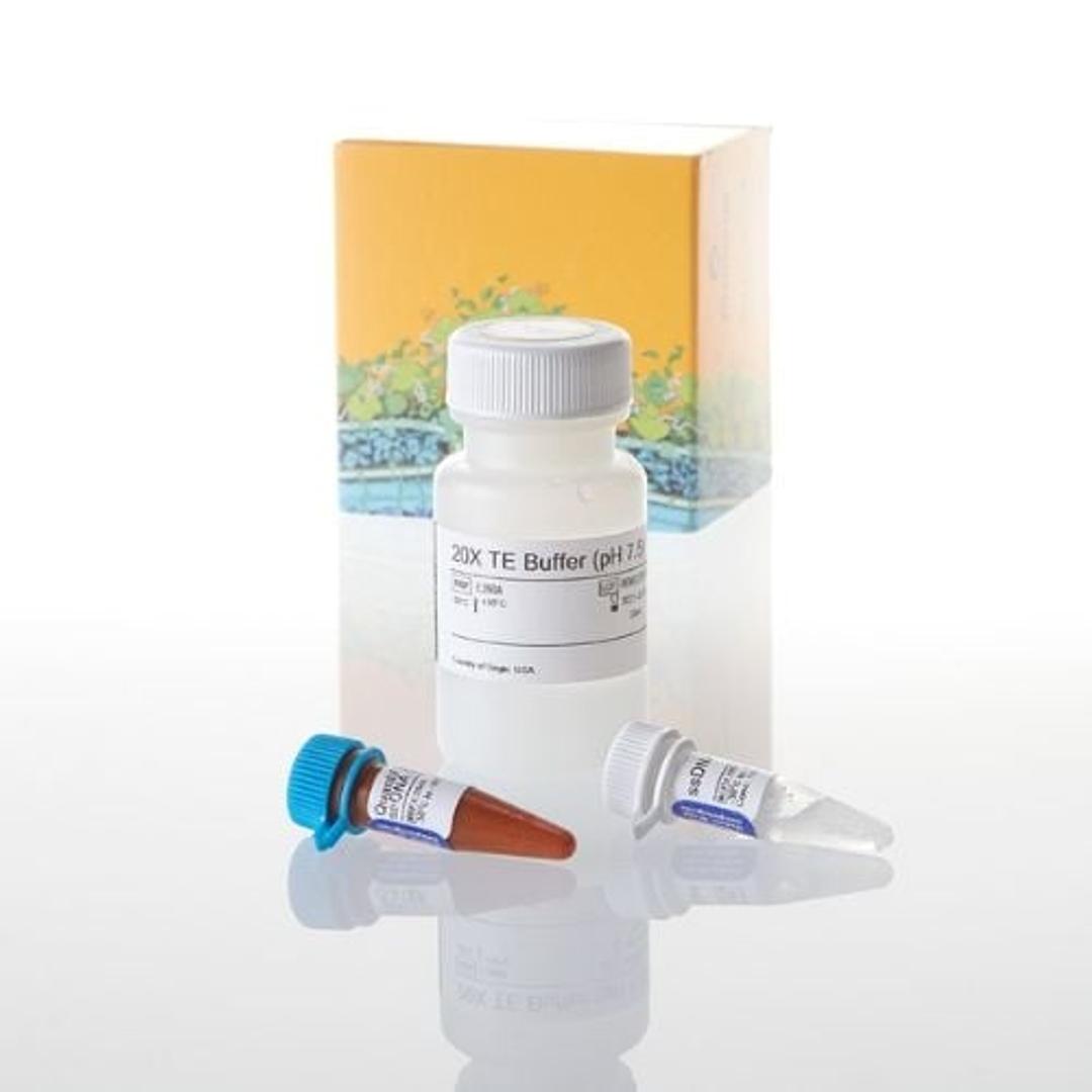 QuantiFluor™ RNA System - Promega Corp. - Life Sciences