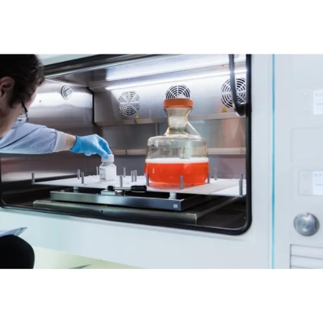 AbZelect™ and AbZelectPRO™ cell line development platforms - Abzena - Life Sciences