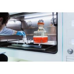 AbZelect™ and AbZelectPRO™ cell line development platforms - Abzena - Life Sciences