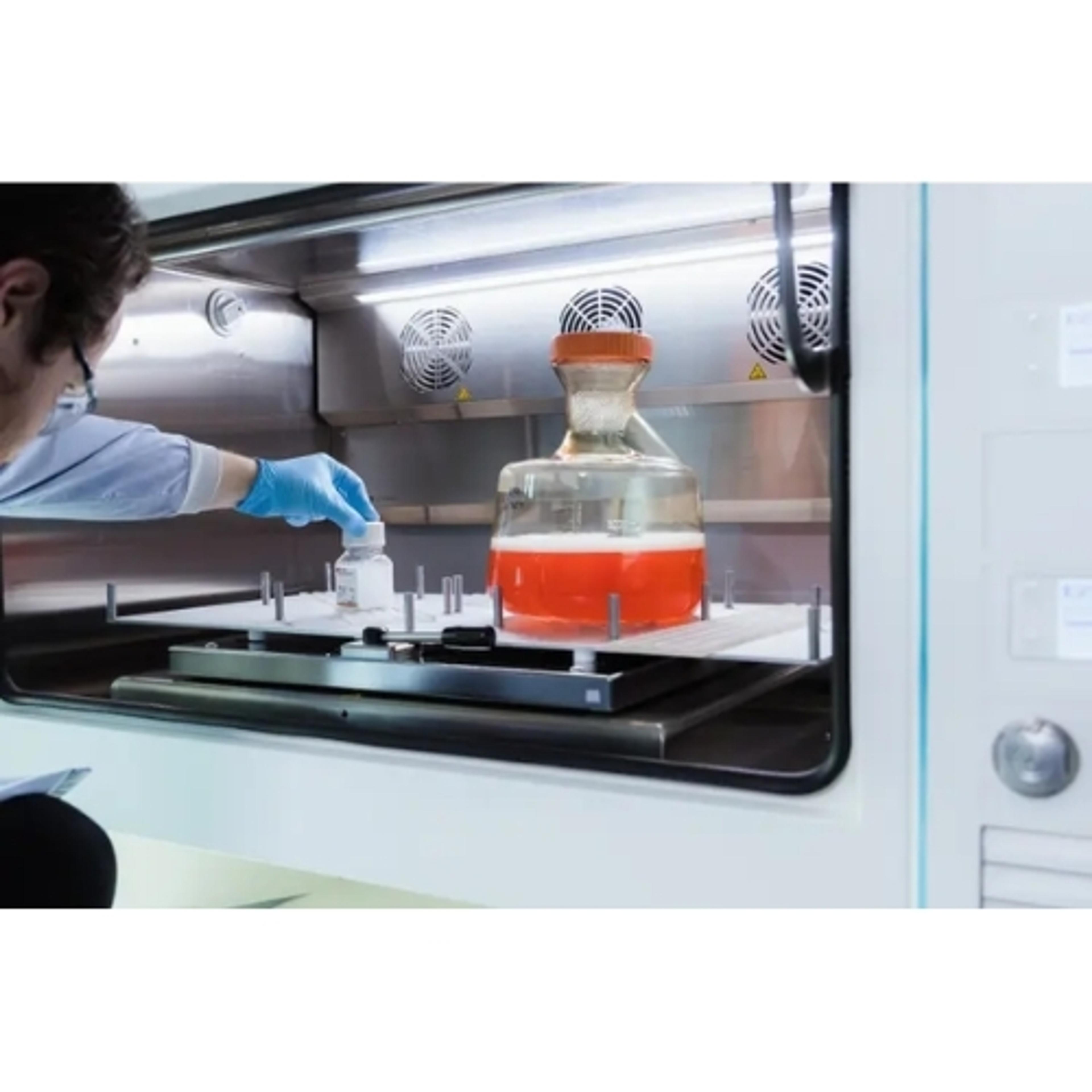 AbZelect™ and AbZelectPRO™ cell line development platforms - Abzena - Life Sciences