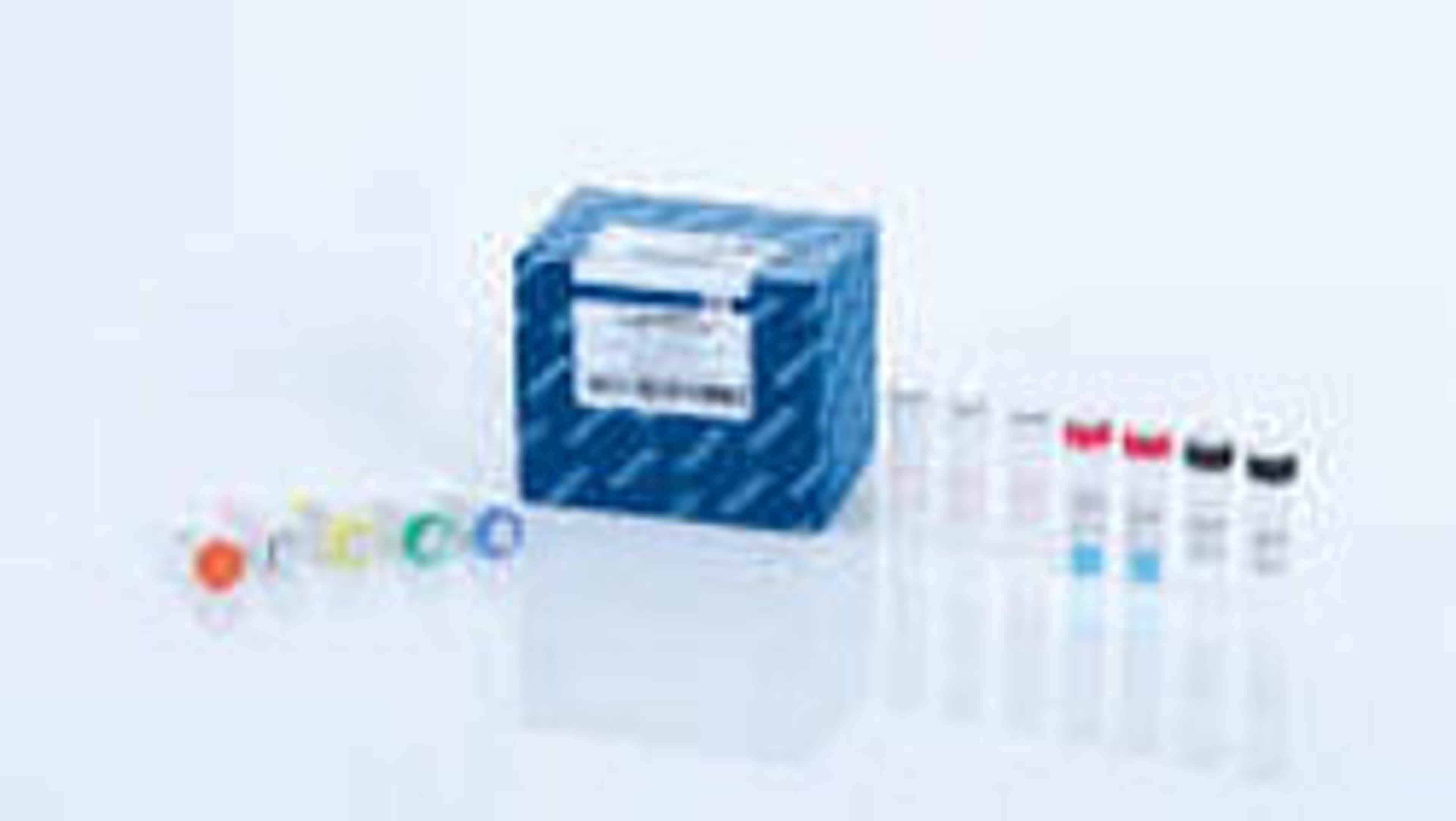 QuantiNova IC Probe Assay (200) - QIAGEN