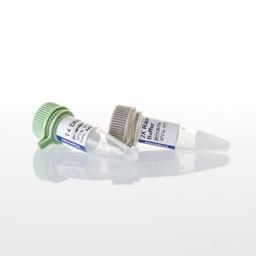 LigaFast™ Rapid DNA Ligation System - Promega Corp. - Life Sciences