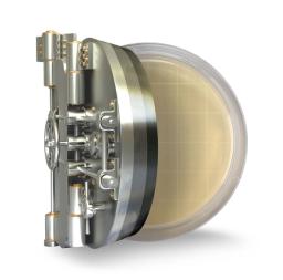 Thermo Scientific™ Triple Wrap Sterile Pack w/VHP Indicator Tryptone Soya Agar w/Lecithin, Polysorbate 80, Sodium Thiosulphate, L-Histidine - Thermo Fisher Scientific - Life Sciences