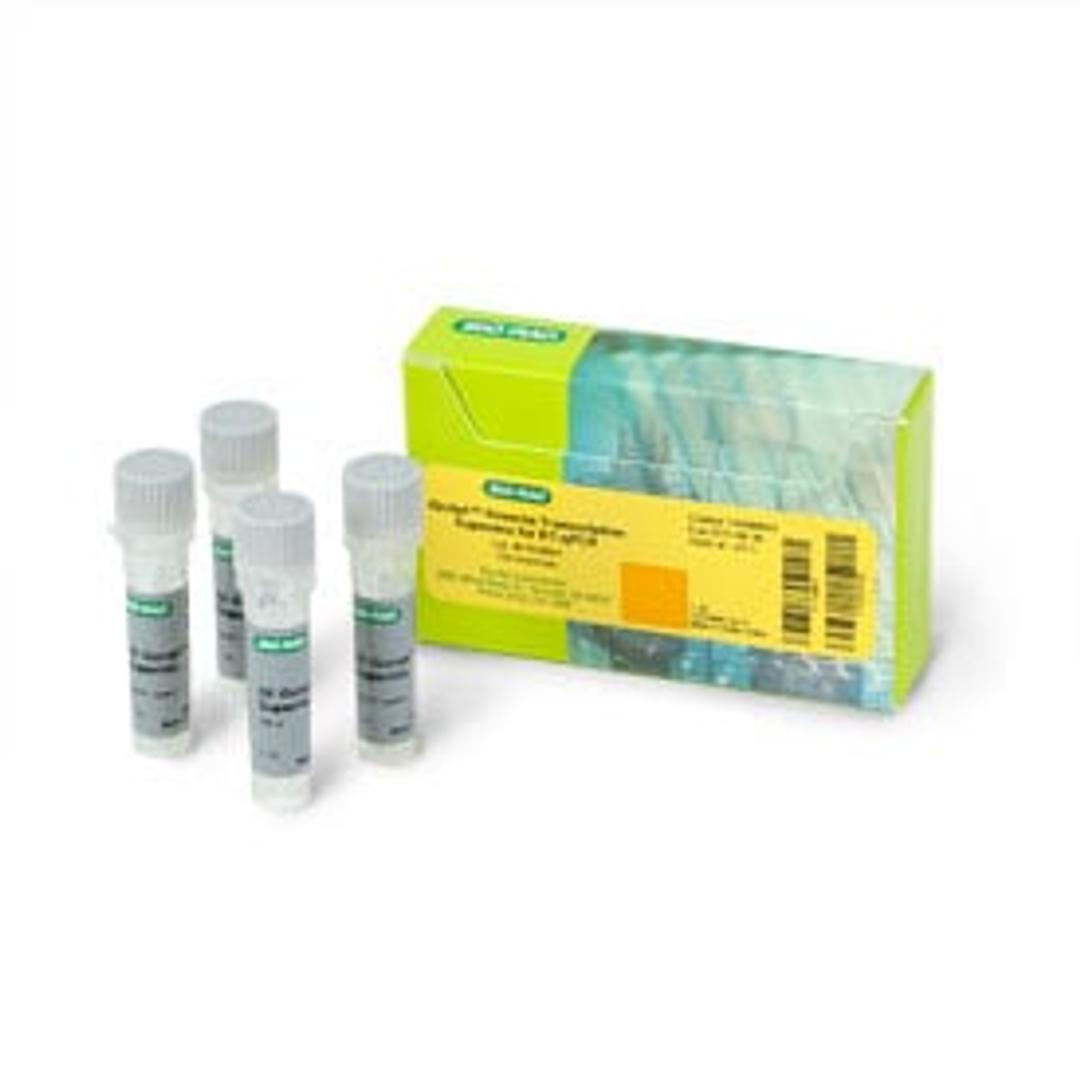 iScript™ Reverse Transcription Supermix, 100 x 20 µl rxns, 400 µl - Bio-Rad - Life Sciences