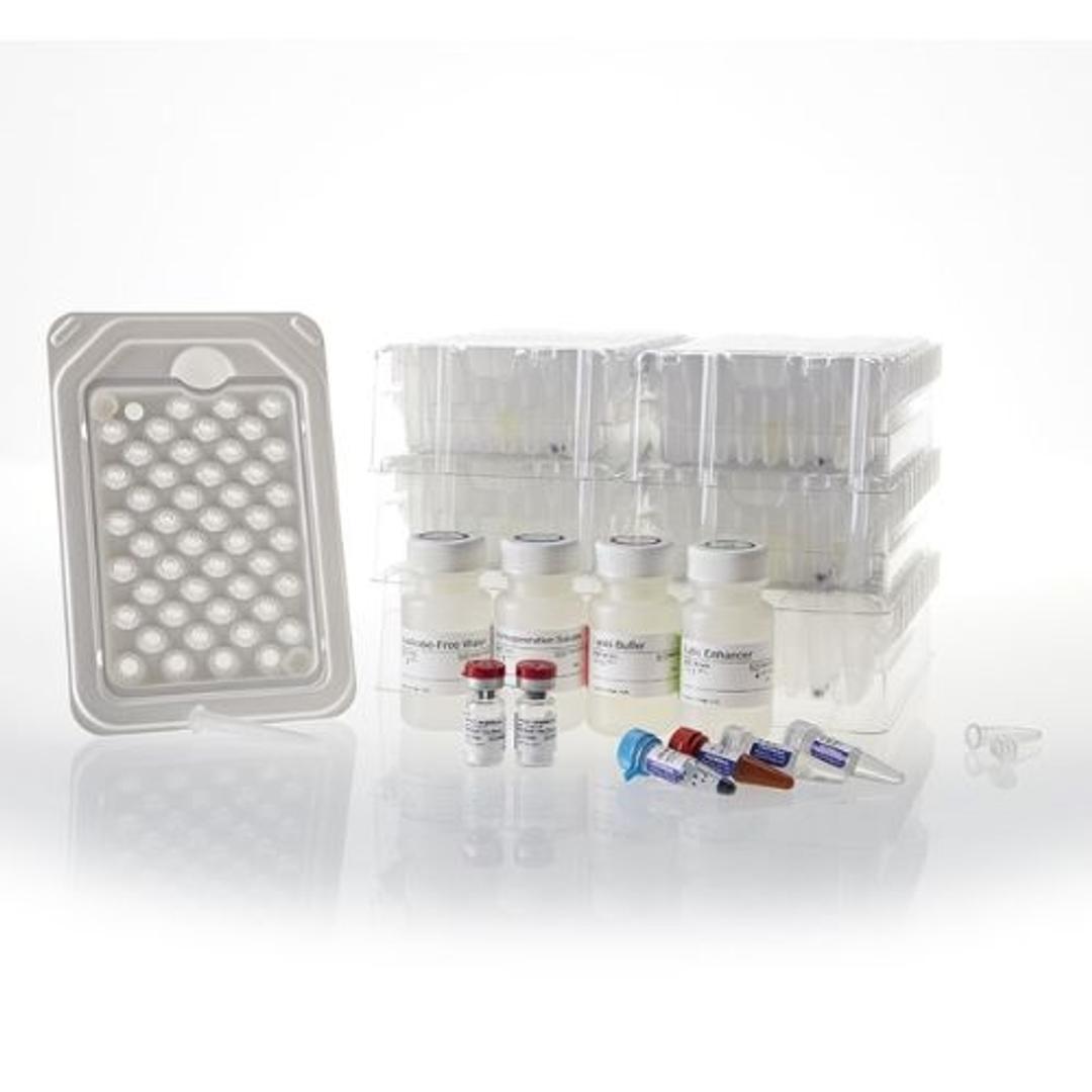Maxwell® RSC miRNA Tissue Kit - Promega Corp. - Life Sciences