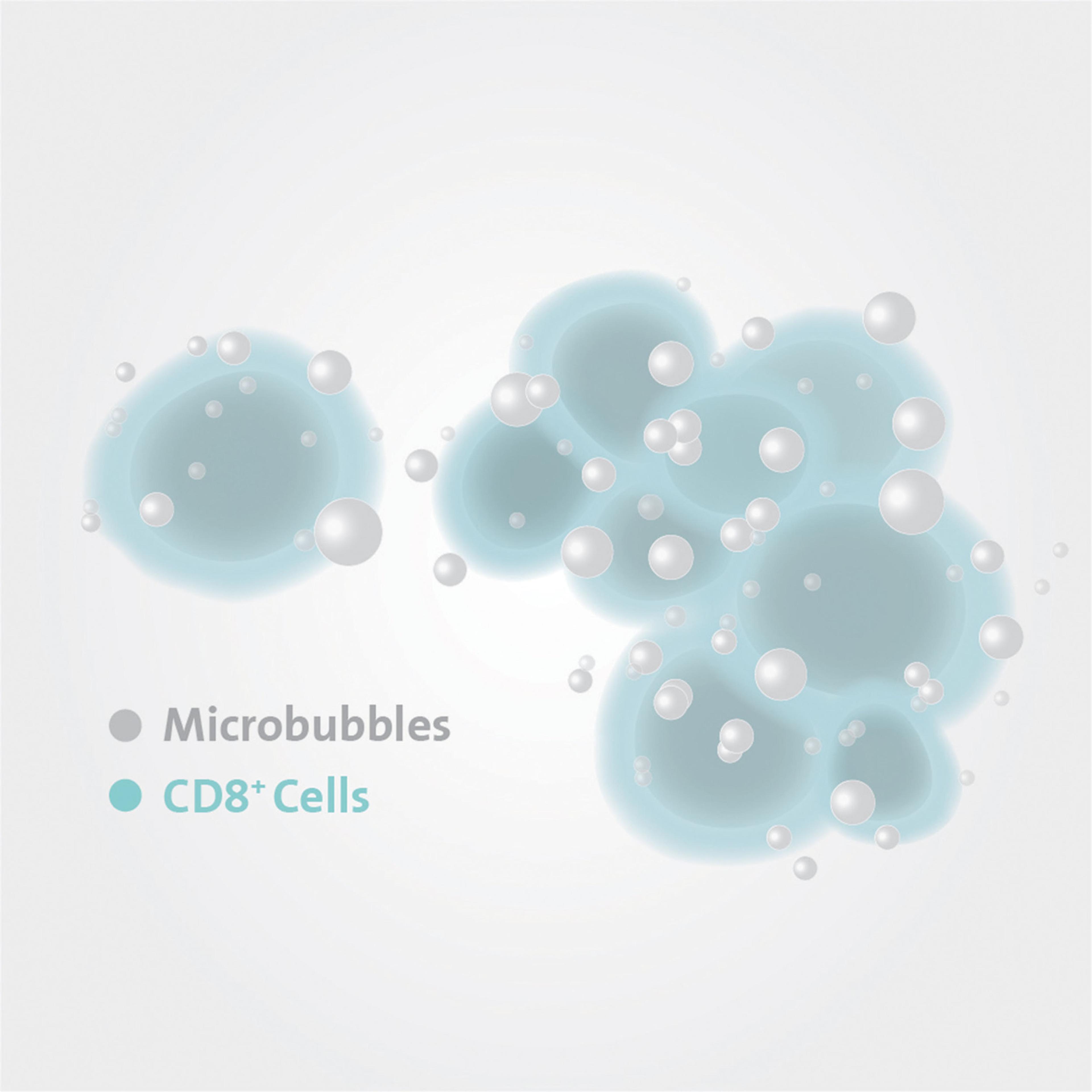 Corning® X-MINI® Human CD8 Selection Kit - Corning Life Sciences - Drug discovery > Target Discovery