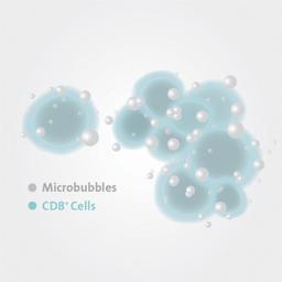 Corning® X-MINI® Human CD8 Selection Kit - Corning Life Sciences - Drug discovery > Target Discovery