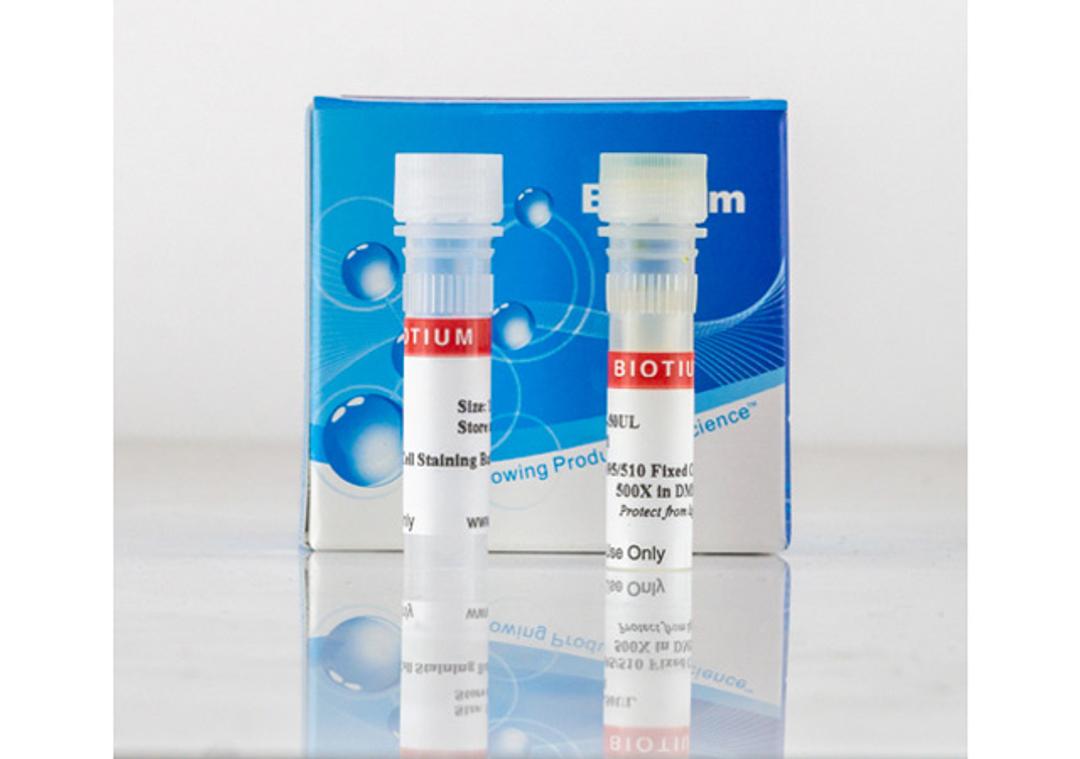 CytoLiner™ Fixed Cell Membrane Stains - Biotium - Life Sciences