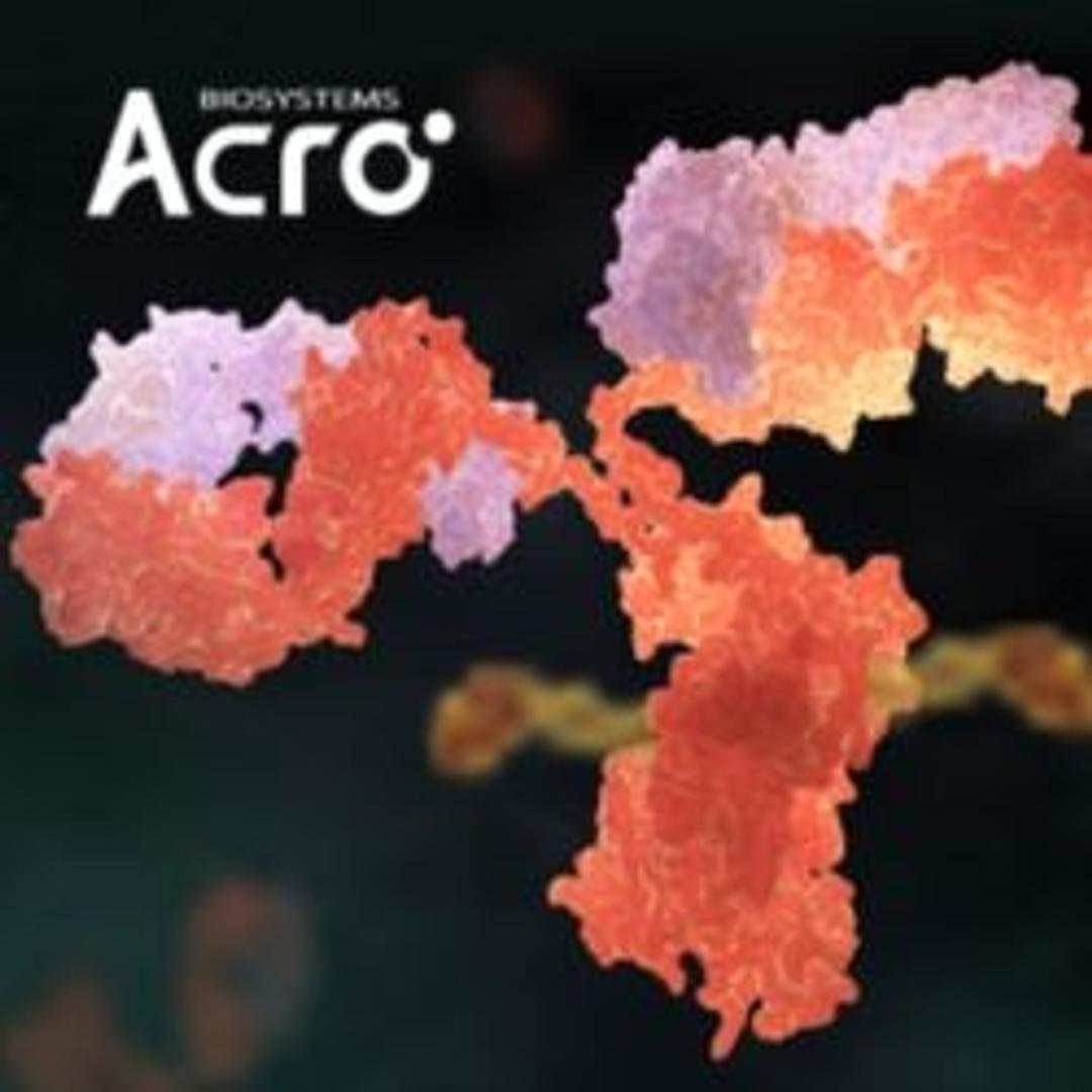 ADC Development Solutions - ACROBiosystems - Drug Discovery & Development