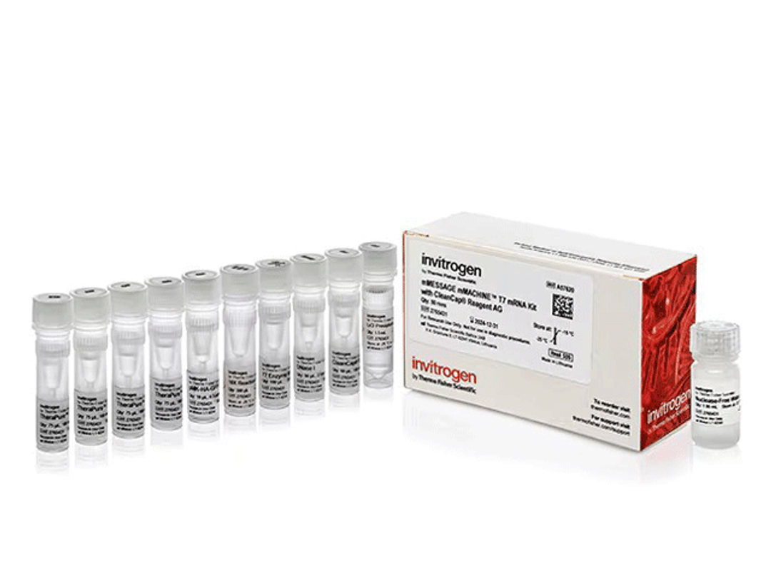 Invitrogen™ mMESSAGE mMACHINE™ T7 mRNA Kit with CleanCap™ Reagent AG - Thermo Fisher Scientific - Life Sciences