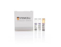 EasySep™ FITC Positive Selection Kit II - STEMCELL Technologies Inc. - Life Sciences