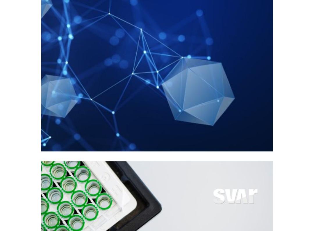 AAV TAb Assays - Svar Life Science AB - Life Sciences