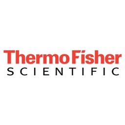 Thermo Scientific™ Nunc™ 384-Well Microplates TC Surface - Thermo Fisher Scientific - Life Sciences