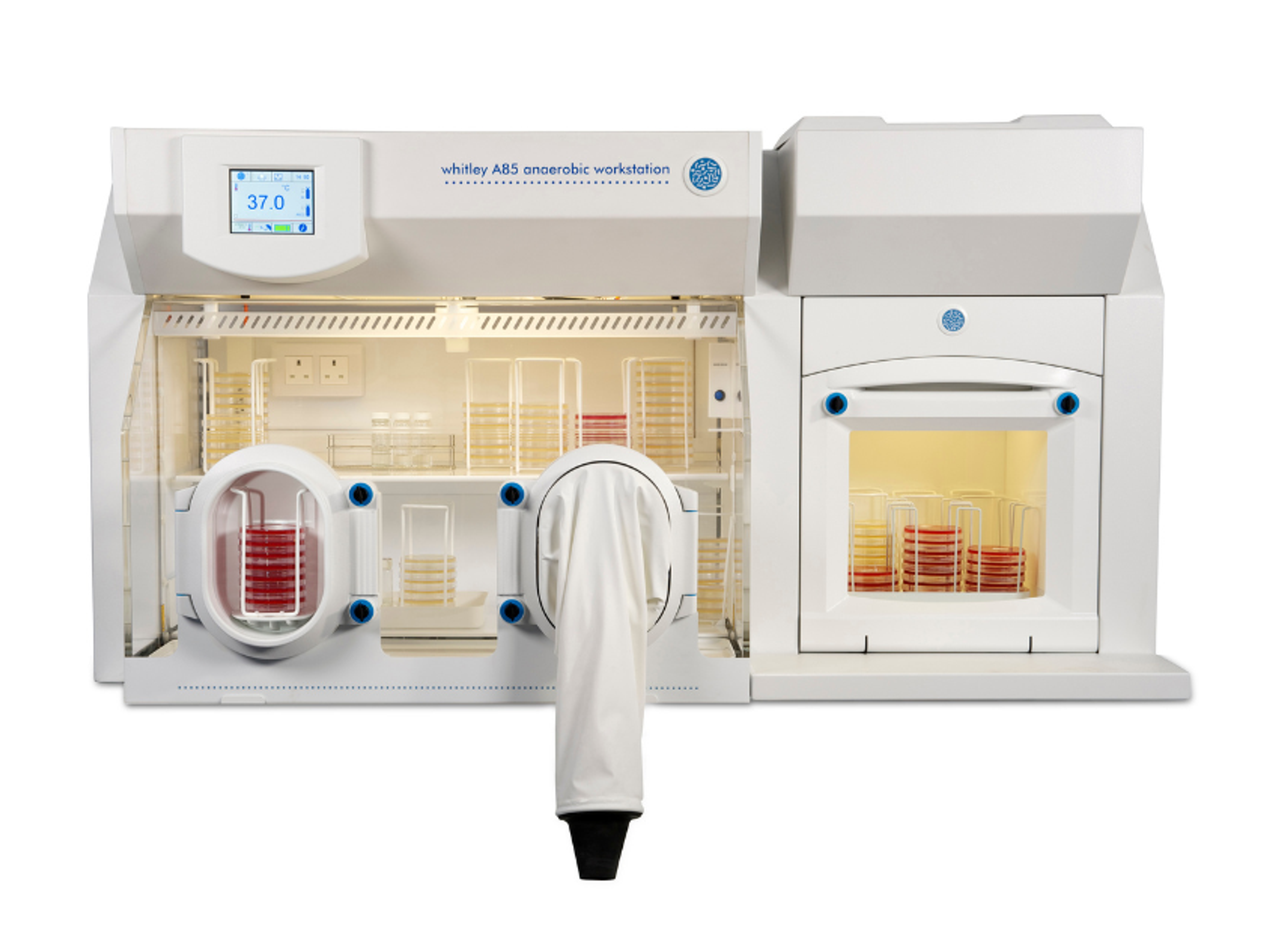 Whitley A85TG Workstation - Don Whitley Scientific - General Lab