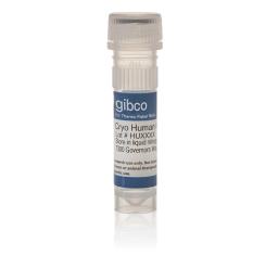 Gibco Spheroid-Qualified Hepatocytes - Thermo Fisher Scientific - Drug discovery > Lead Discovery