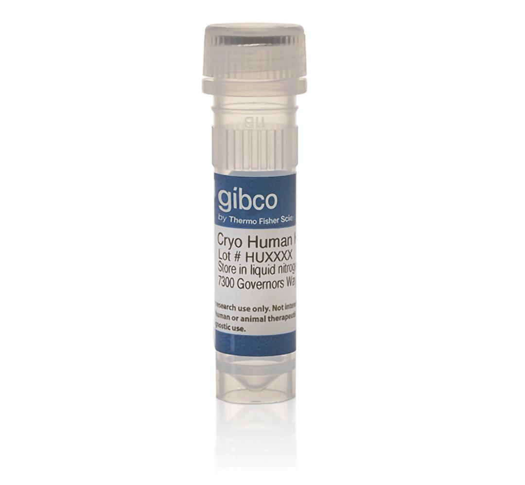 Gibco Spheroid-Qualified Hepatocytes - Thermo Fisher Scientific - Drug discovery > Lead Discovery