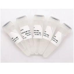 HiScript III RT SuperMix for qPCR (+gDNA wiper) - Vazyme Biotech Co., Ltd - Life Sciences