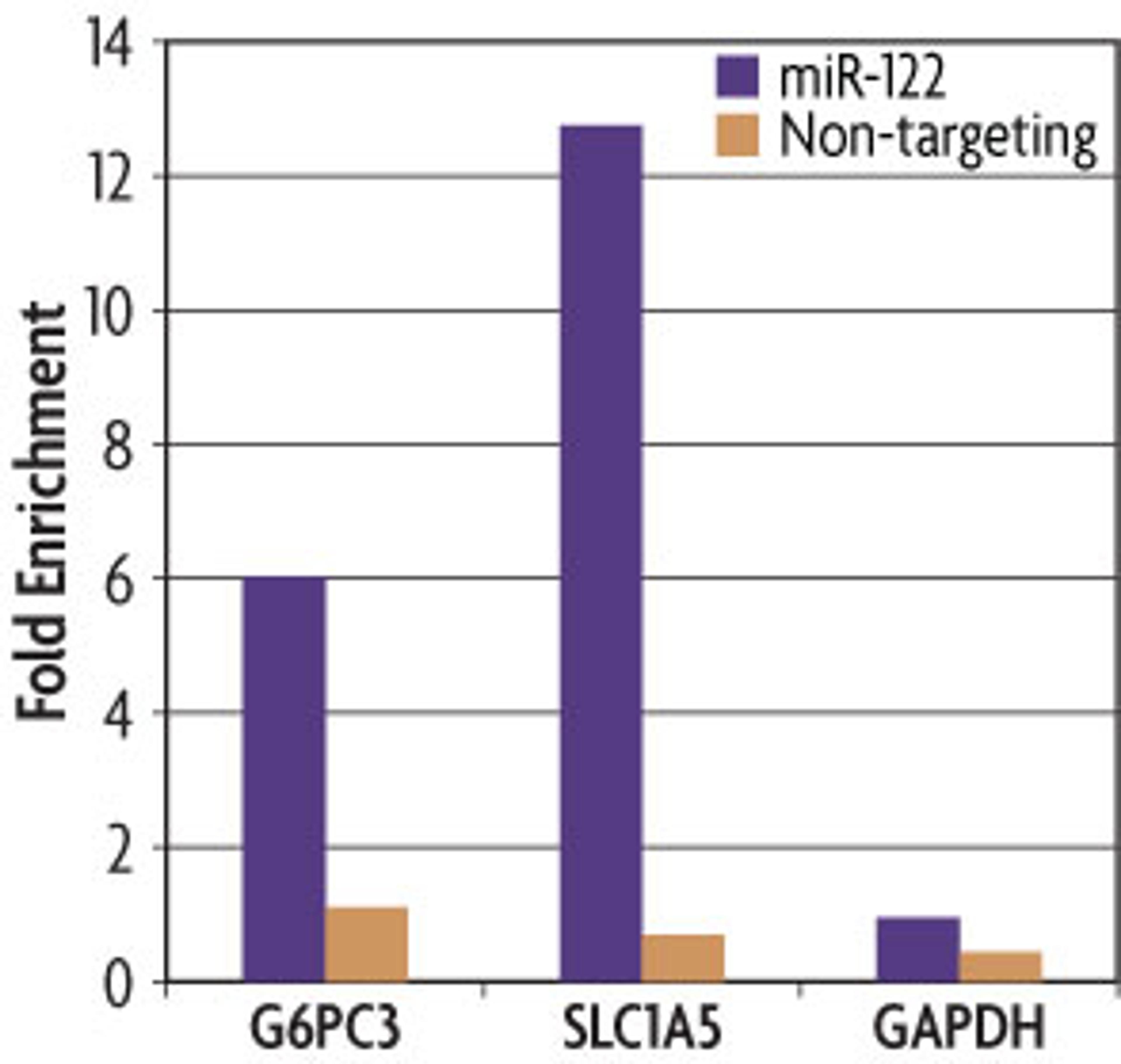 miRNA Target IP Kit - Active Motif - Life Sciences