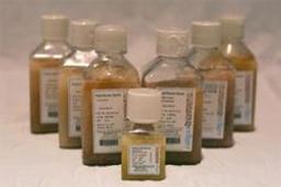 Fetal Bovine Serum (FBS) - Mediatech Inc. - Life Sciences
