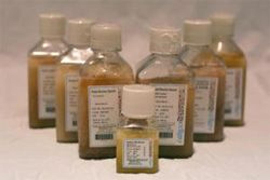Fetal Bovine Serum (FBS) - Mediatech Inc. - Life Sciences