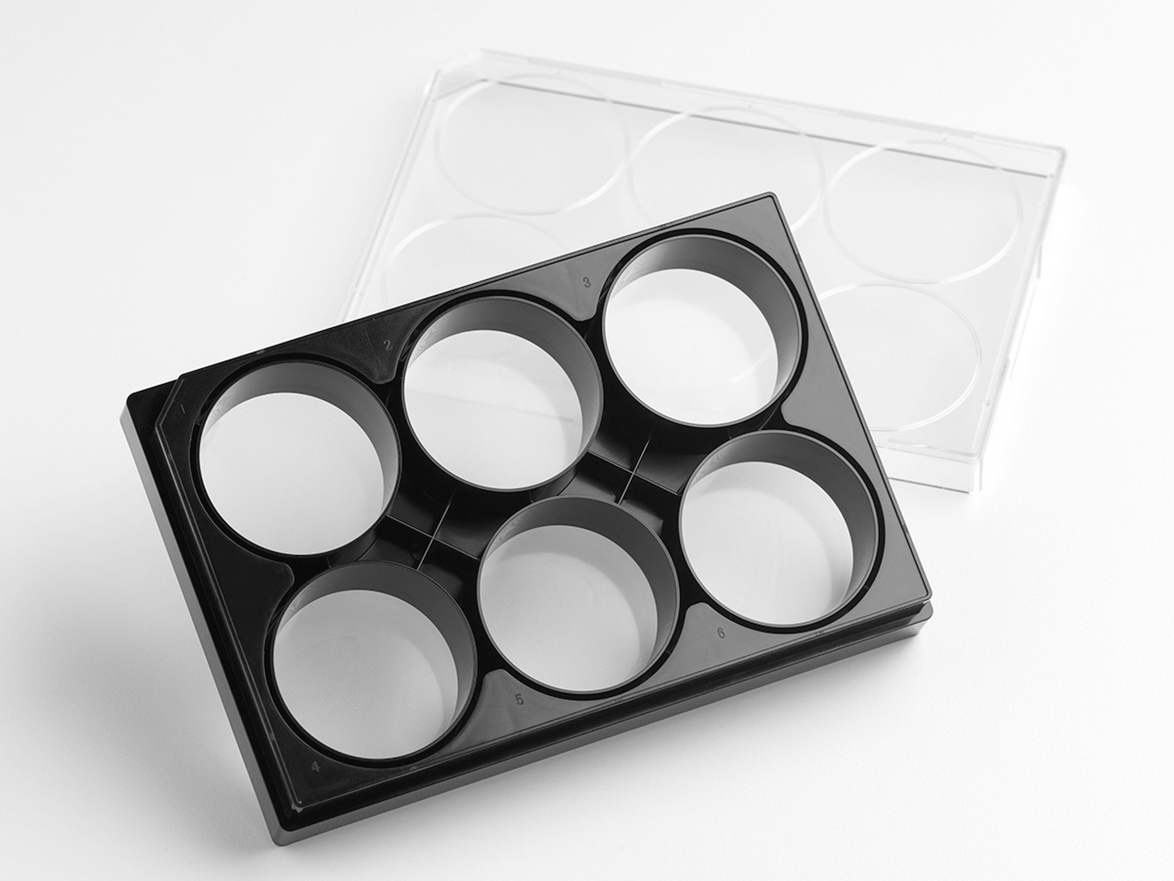 Corning® Elplasia® 6-well Black/Clear, Square, Plasma Treated, Microcavity Plate, with Lid - Corning Life Sciences