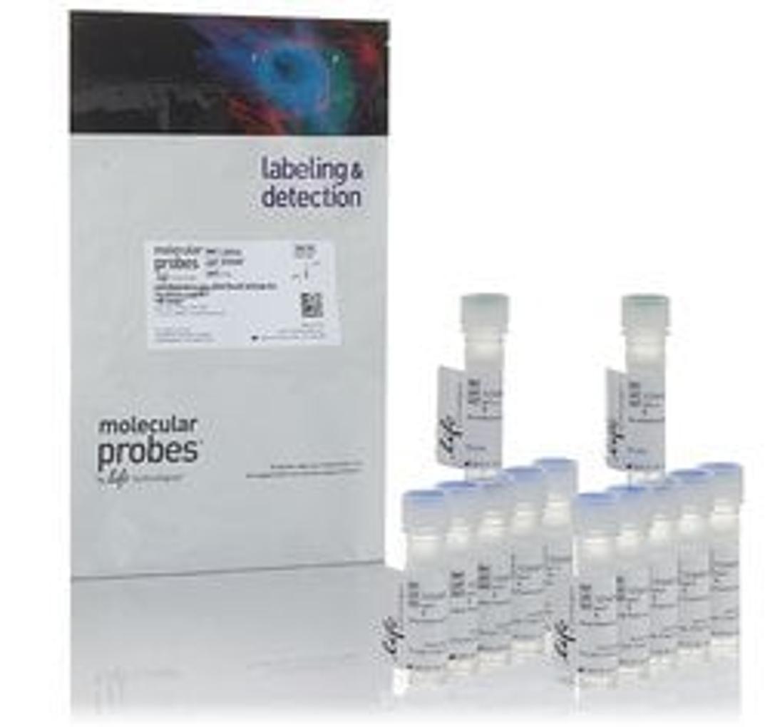 Invitrogen™ LIVE/DEAD™ Fixable Violet Dead Cell Stain Kit - Thermo Fisher Scientific - Life Sciences