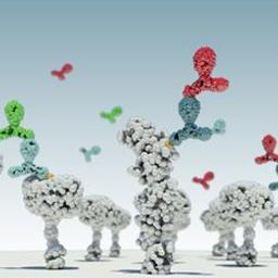 Nanoscale Protein Array Assay Service - NanoInk, Inc - Life Sciences