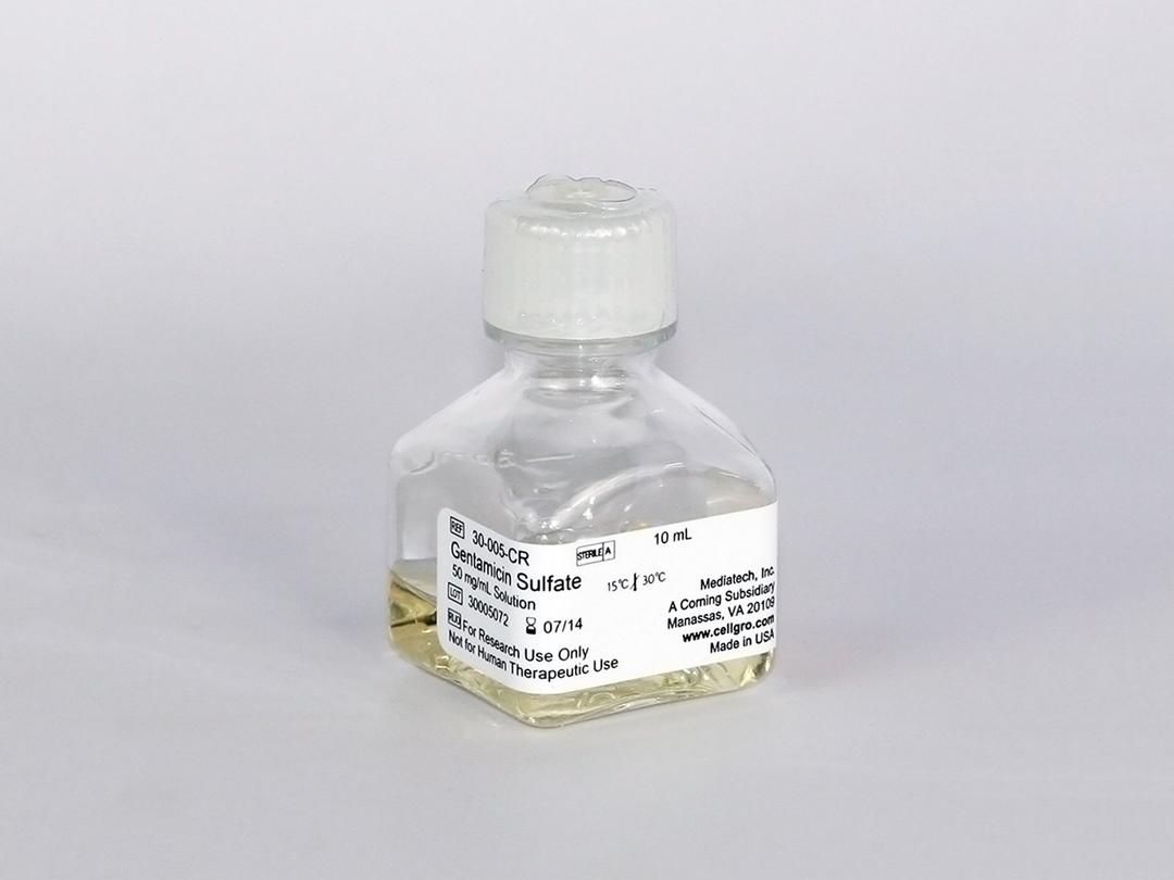 Corning® 10 mL Gentamicin Sulfate, Liquid - Corning Life Sciences - Life Sciences