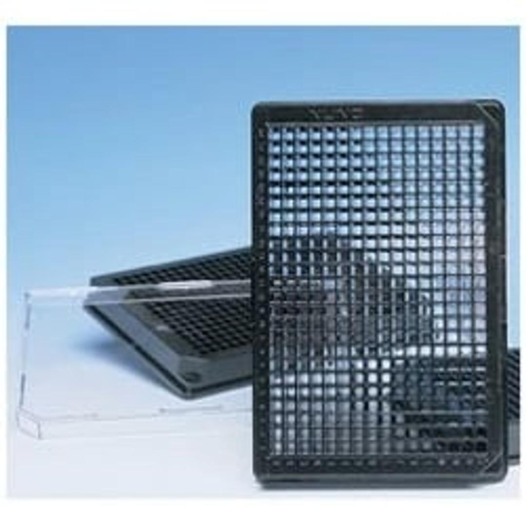 Thermo Scientific™ Nunc™ MicroWell™ 384-Well Optical-Bottom Plates with Polymer or Coverglass Base - Thermo Fisher Scientific - Life Sciences