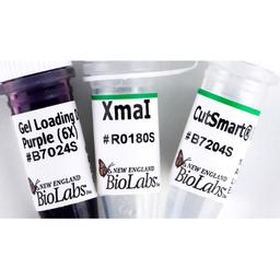 XmaI - New England Biolabs Inc. - Life Sciences