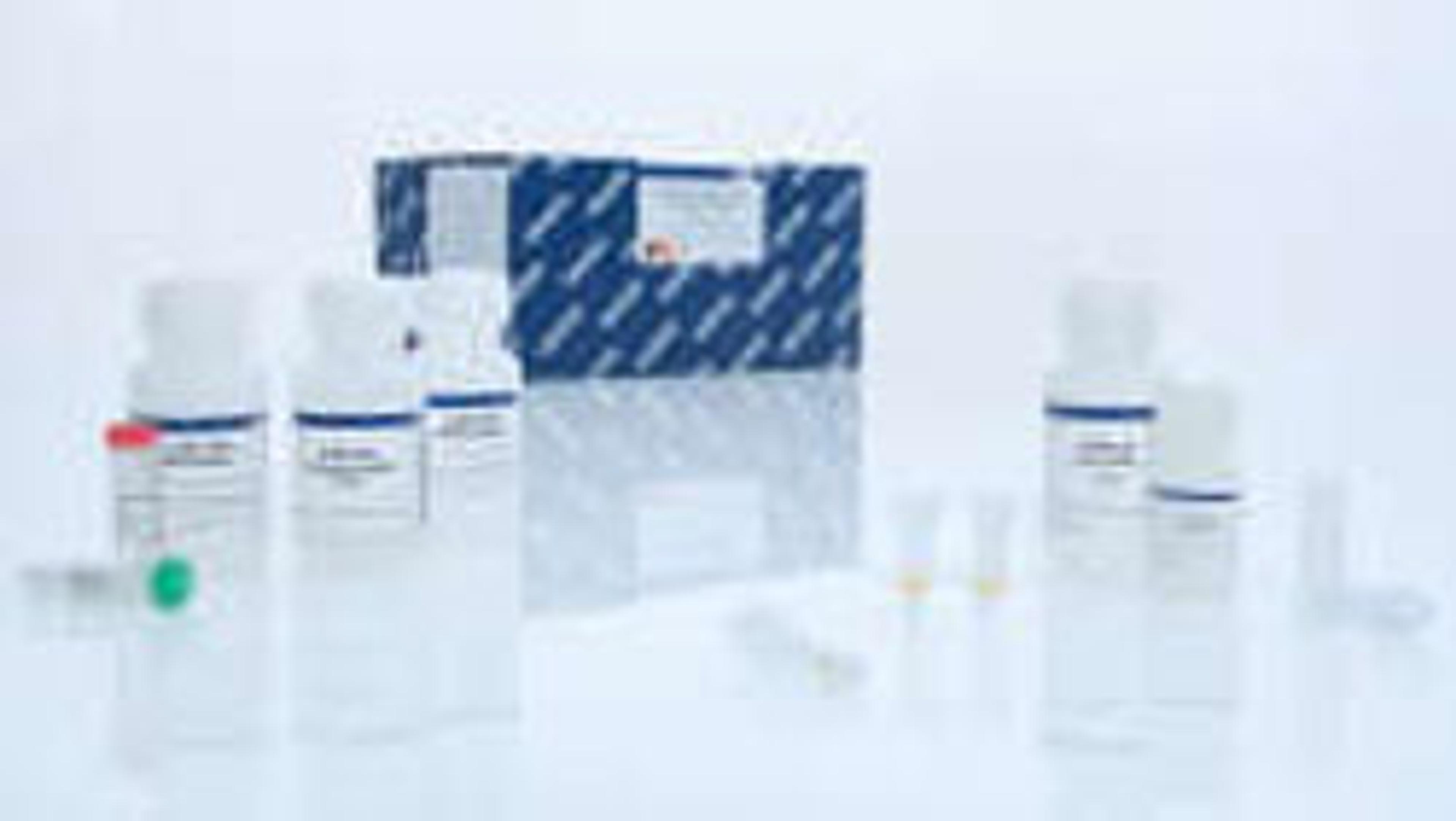 QIAamp RNA Blood Mini Kit (50) - QIAGEN
