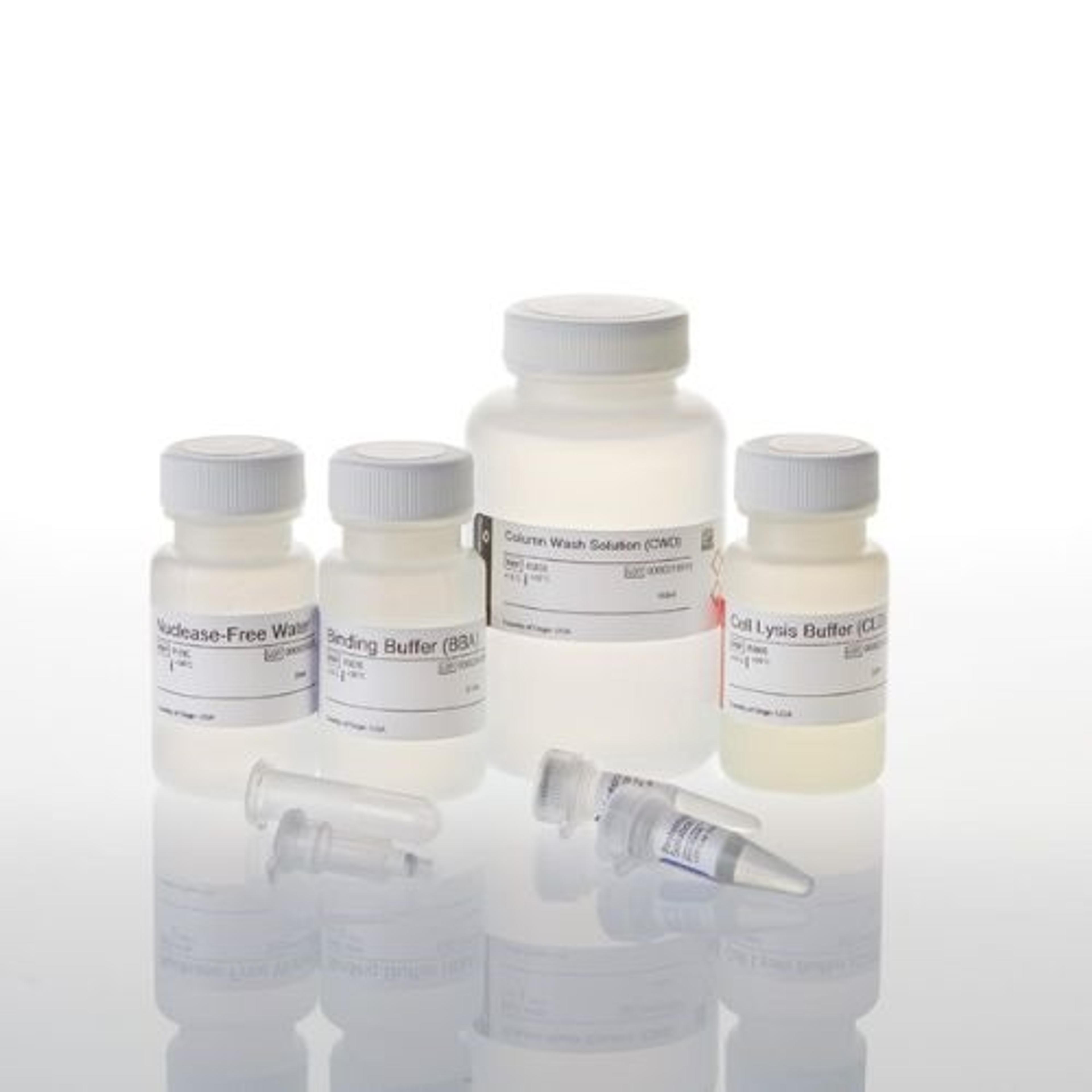 ReliaPrep™ Blood gDNA Miniprep System - Promega Corp. - Life Sciences