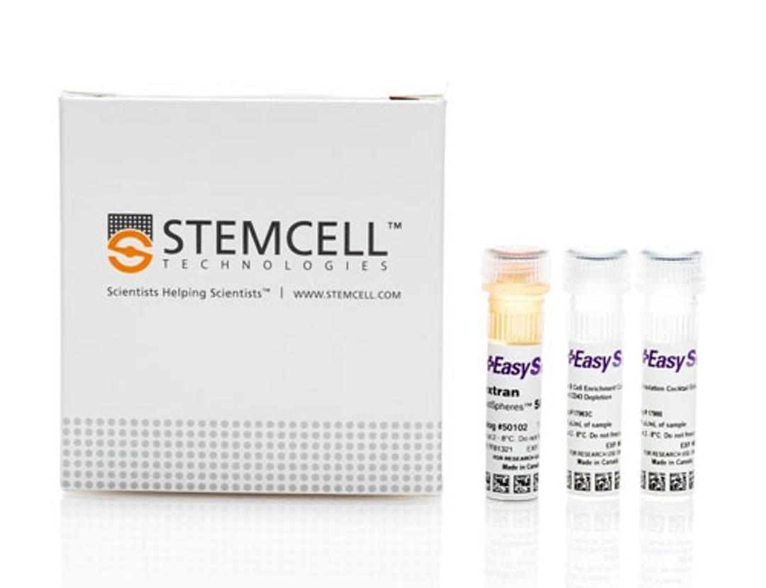 EasySep™ Human B Cell Enrichment Kit II Without CD43 Depletion - STEMCELL Technologies Inc. - Life Sciences