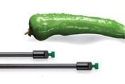 SeQuant® ZIC®-cHILIC for HPLC and LC-MS separation of polar hydrophilic compounds - Merck KGaA, Darmstadt, Germany - Separations