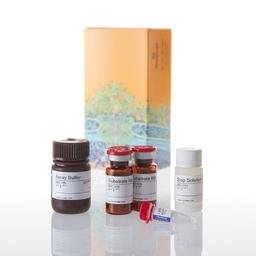 CytoTox-ONE™ Homogeneous Membrane Integrity Assay - Promega Corp. - Life Sciences