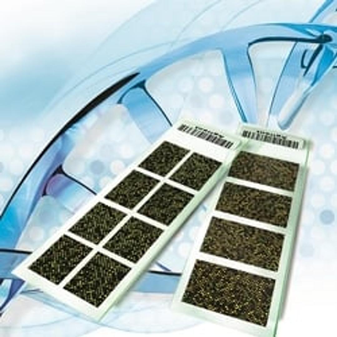 Rat Gene Expression Microarrays - Agilent Technologies - Life Sciences