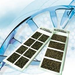 Rat Gene Expression Microarrays - Agilent Technologies - Life Sciences