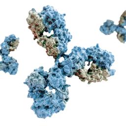 Biopharmaceutical Development Service - Resolian - Life Sciences