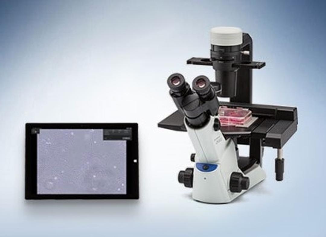 CKX-CCSW - EVIDENT - Life Sciences